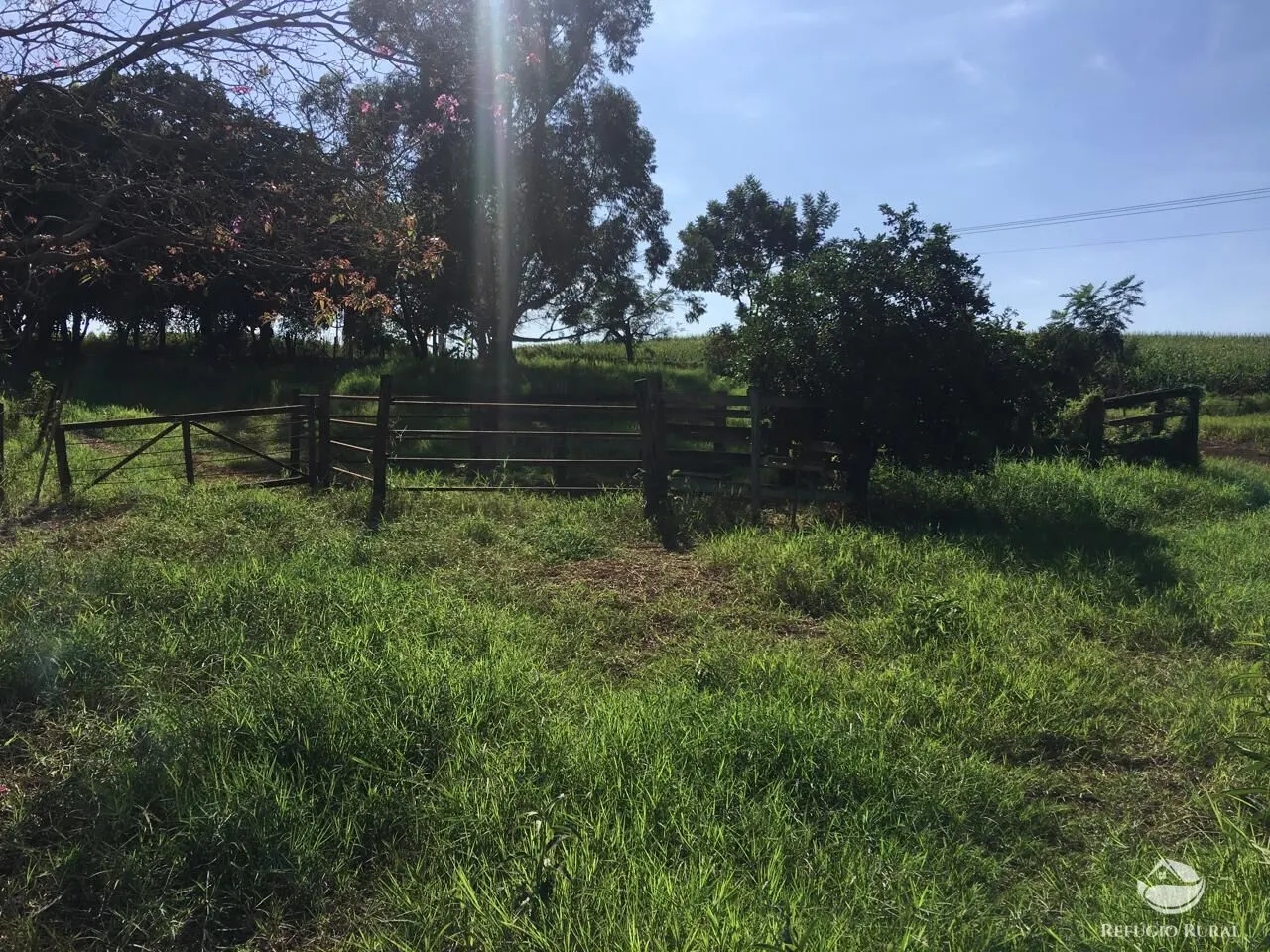 Sítio à venda de 5 ha em Itambaracá, PR, Brasil