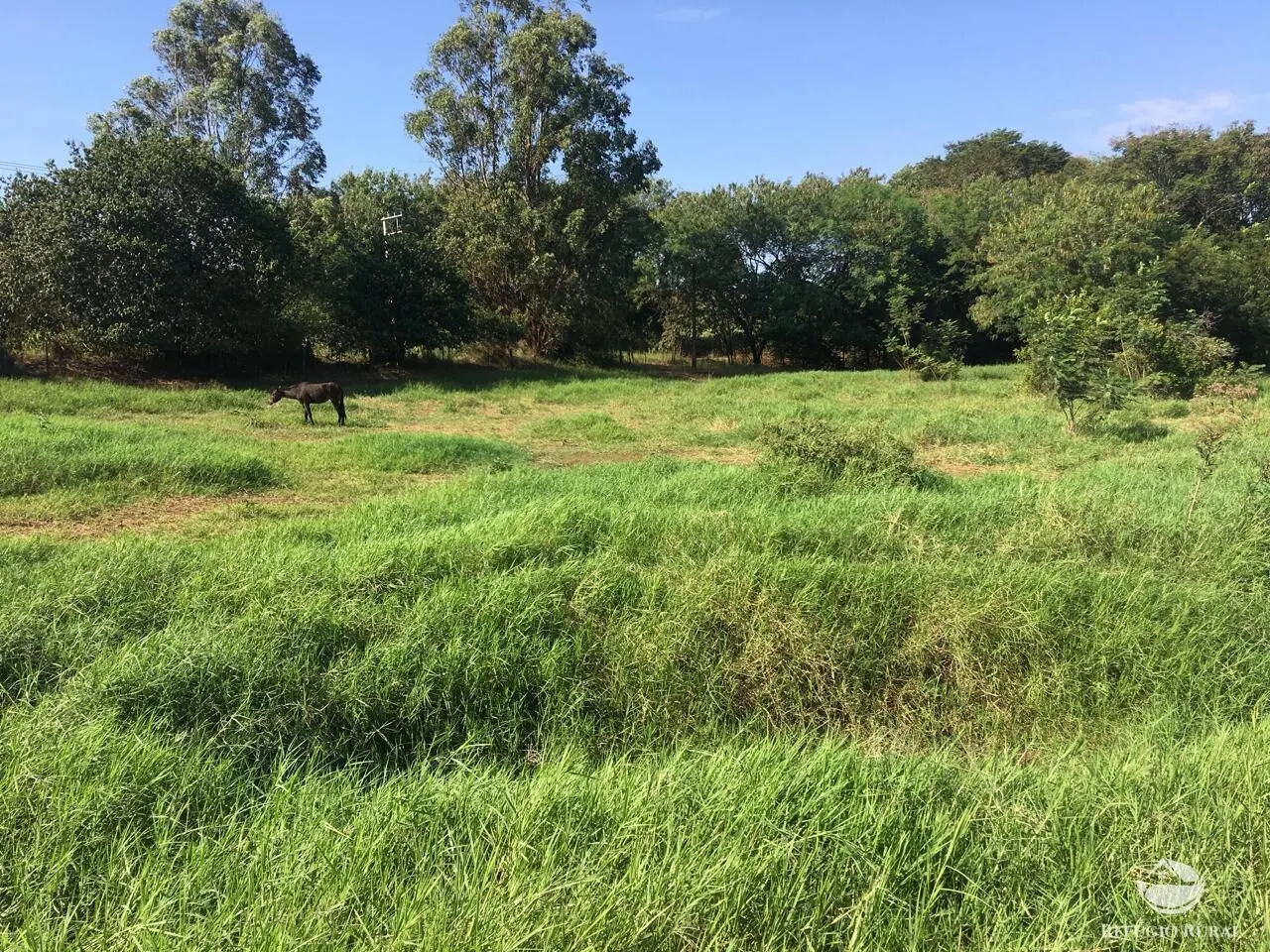 Sítio à venda de 5 ha em Itambaracá, PR, Brasil