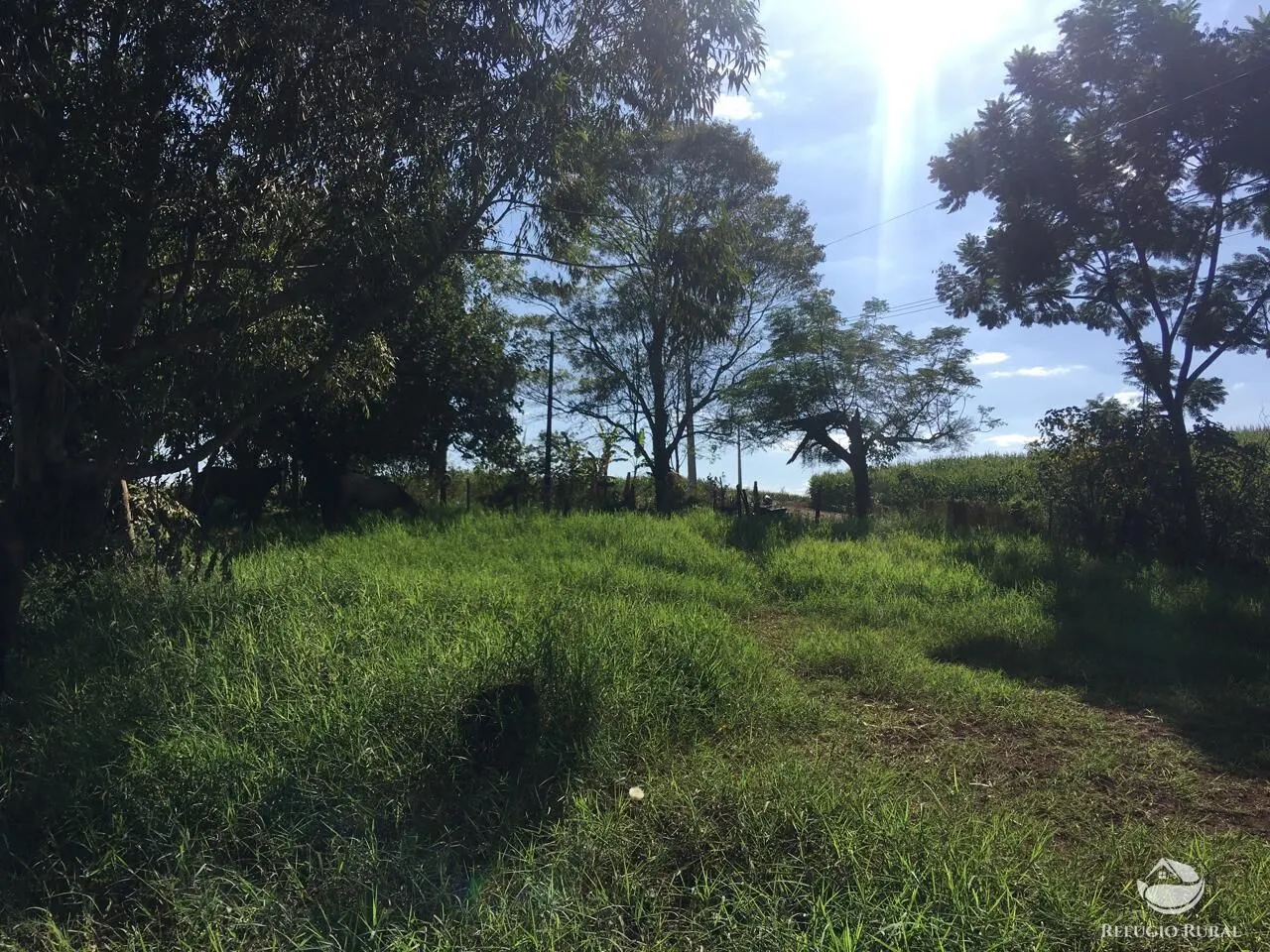 Sítio à venda de 5 ha em Itambaracá, PR, Brasil