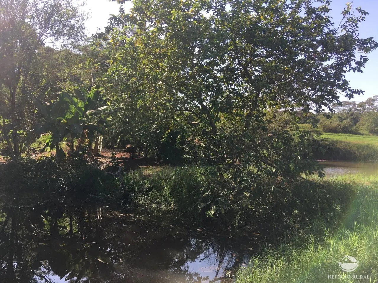 Sítio à venda de 5 ha em Itambaracá, PR, Brasil