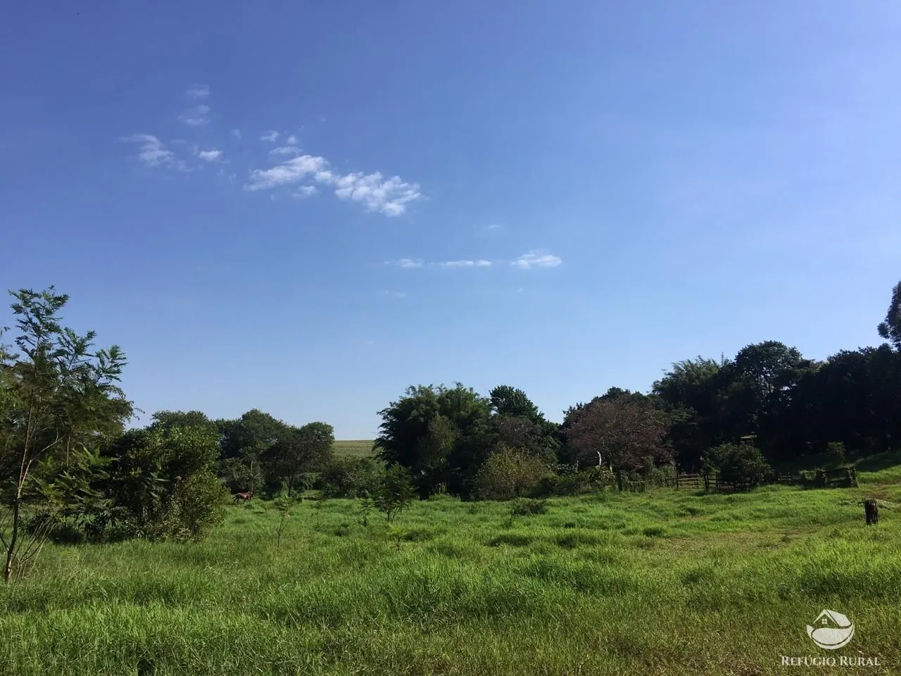 Sítio à venda de 5 ha em Itambaracá, PR, Brasil