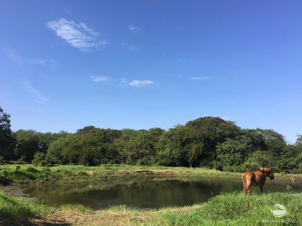 Sítio à venda de 5 ha em Itambaracá, PR, Brasil