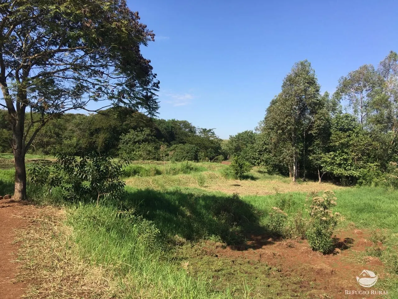 Sítio à venda de 5 ha em Itambaracá, PR, Brasil