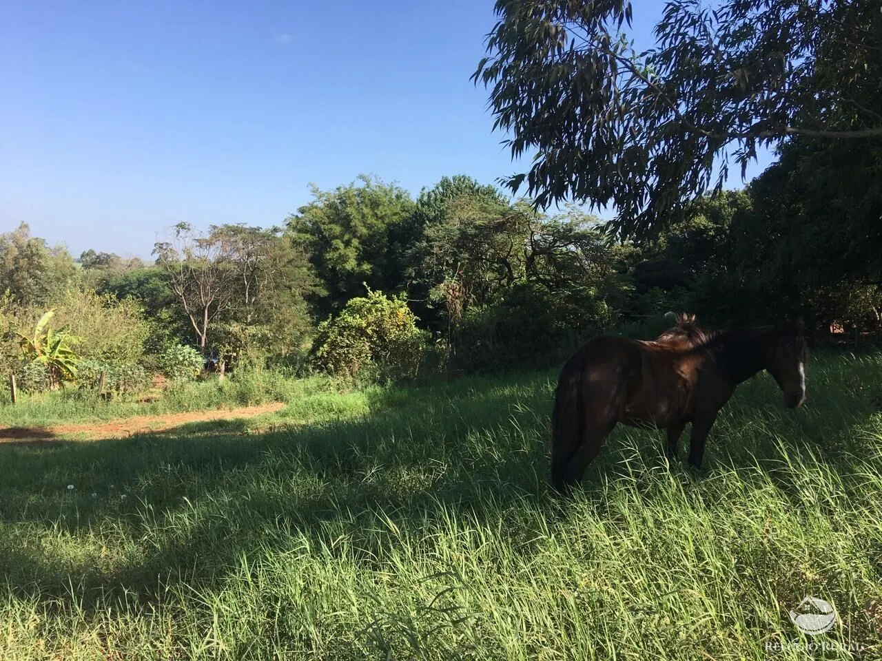 Sítio à venda de 5 ha em Itambaracá, PR, Brasil