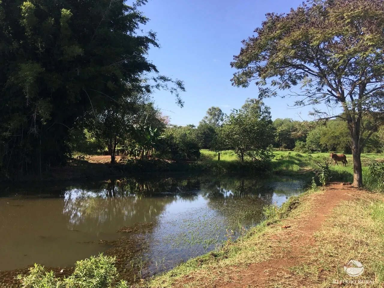 Sítio à venda de 5 ha em Itambaracá, PR, Brasil
