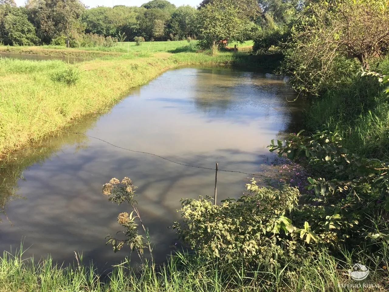 Sítio à venda de 5 ha em Itambaracá, PR, Brasil