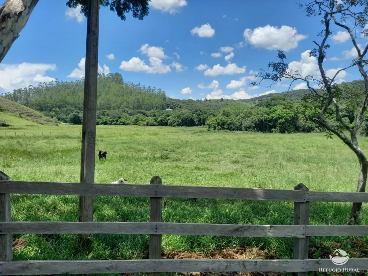 Fazenda à venda de 442 ha em Cunha, SP, Brasil