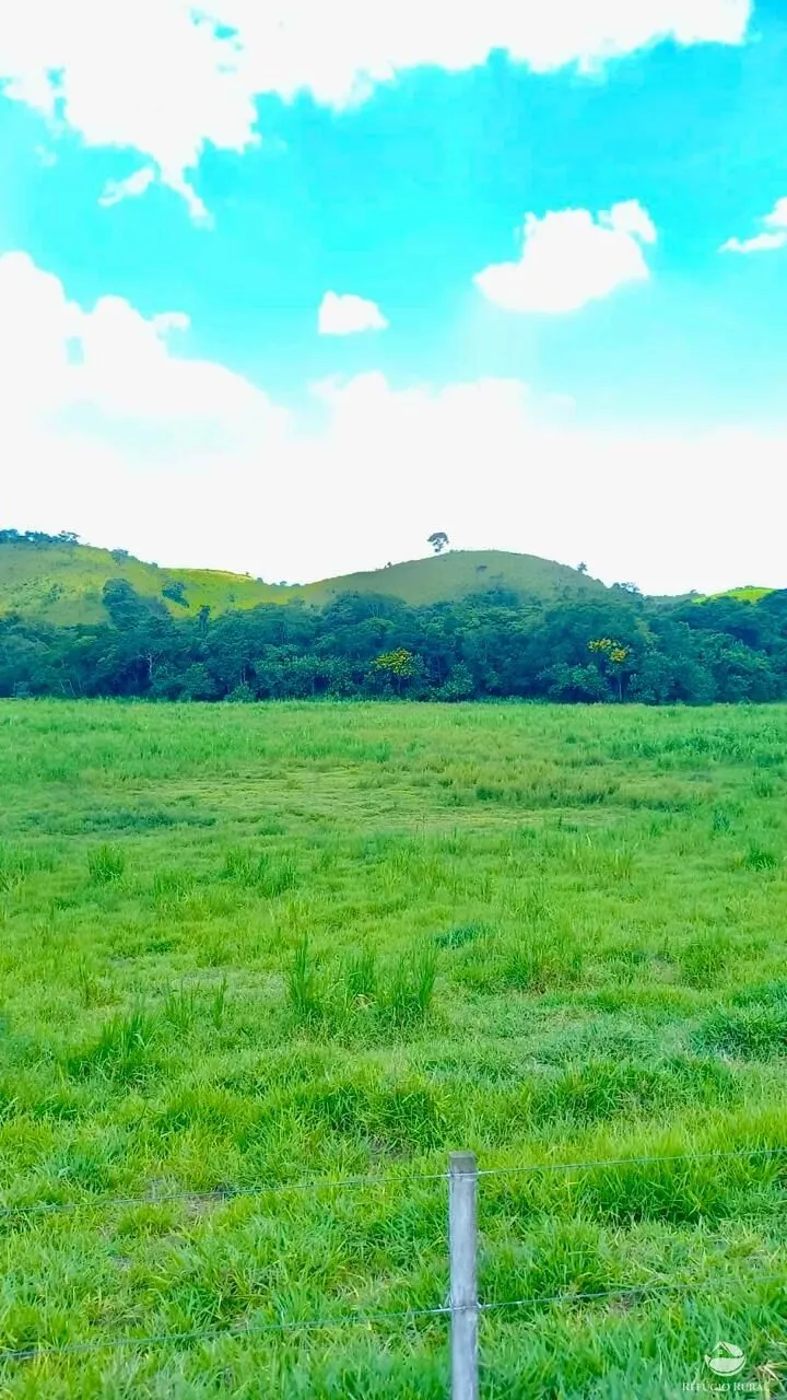 Fazenda à venda de 442 ha em Cunha, SP, Brasil