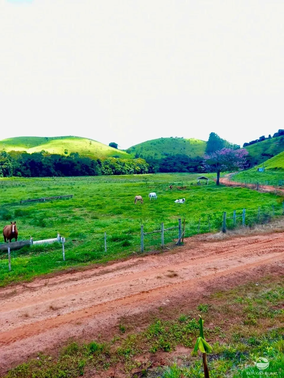 Fazenda à venda de 442 ha em Cunha, SP, Brasil