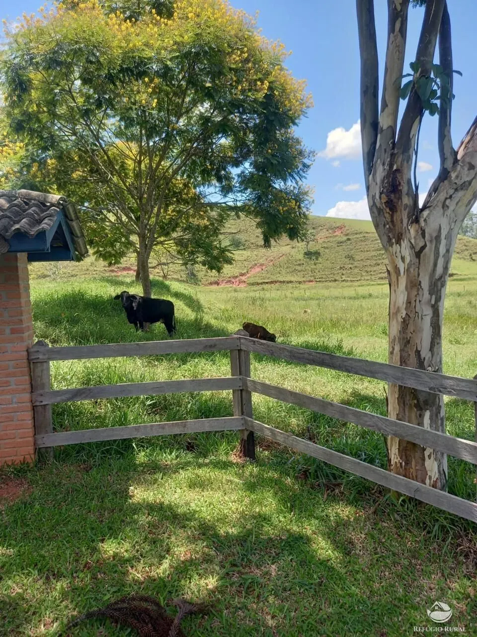 Fazenda à venda de 442 ha em Cunha, SP, Brasil