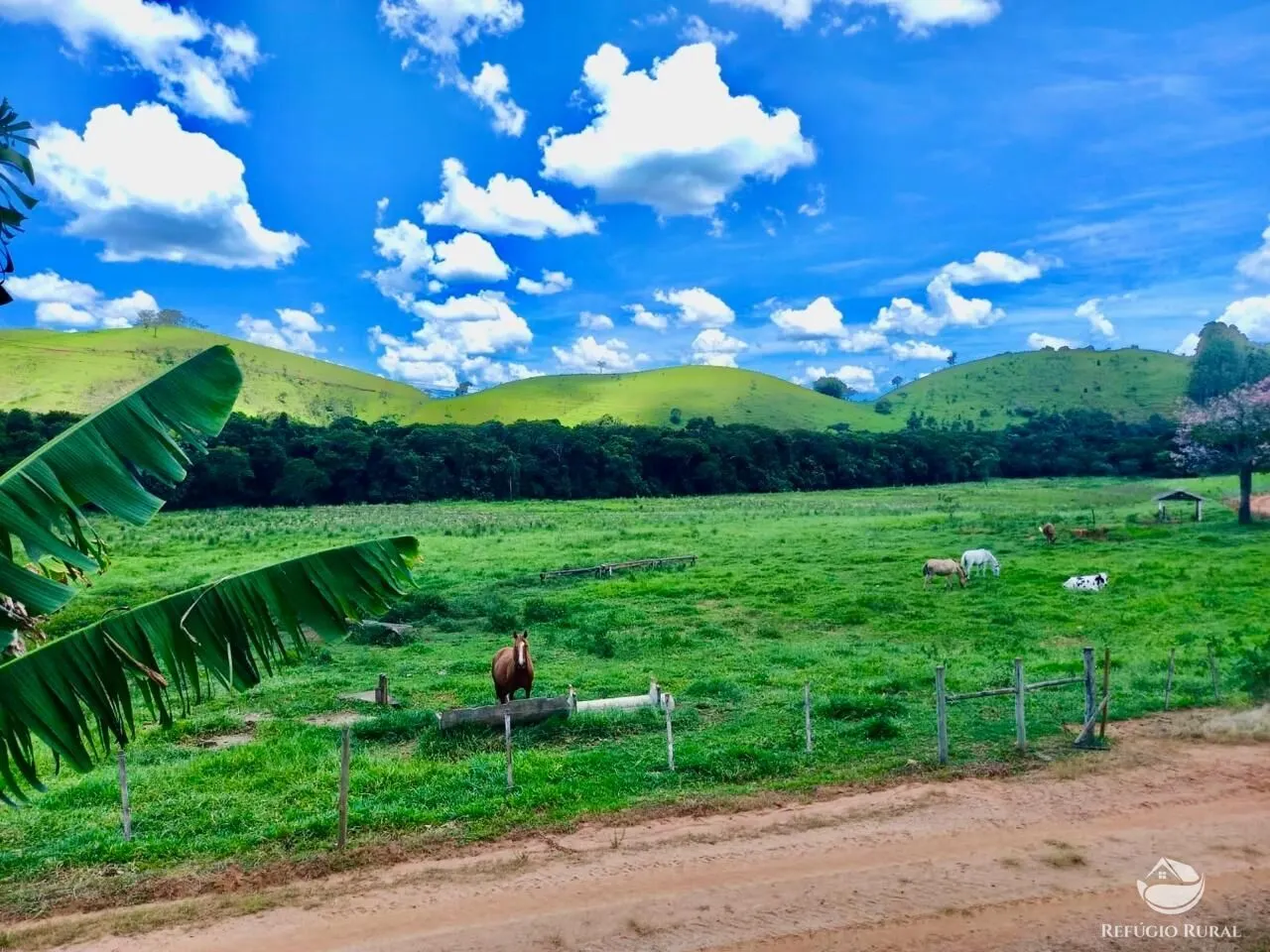 Fazenda à venda de 442 ha em Cunha, SP, Brasil
