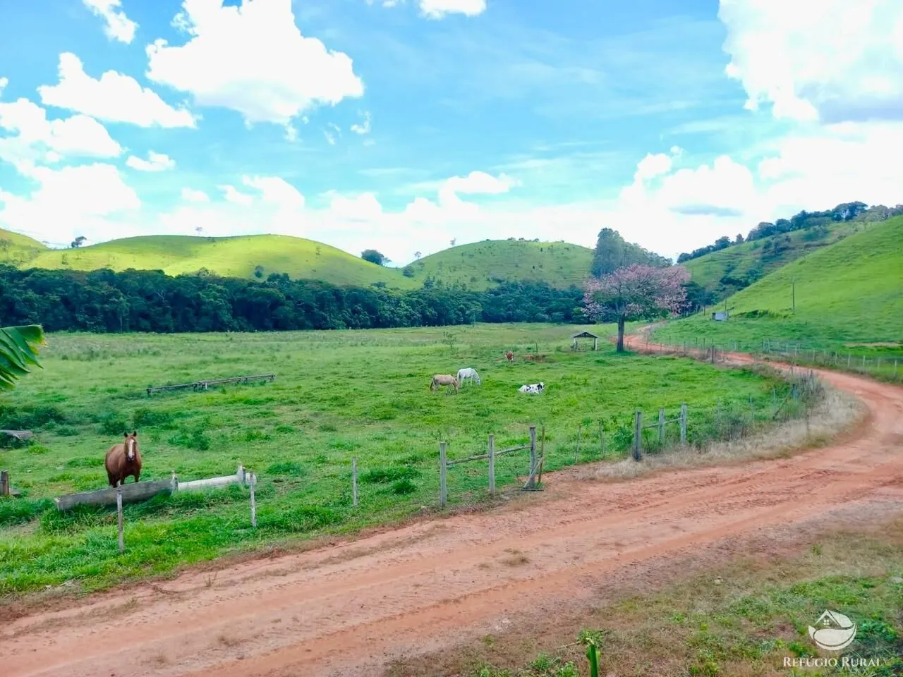 Fazenda à venda de 442 ha em Cunha, SP, Brasil