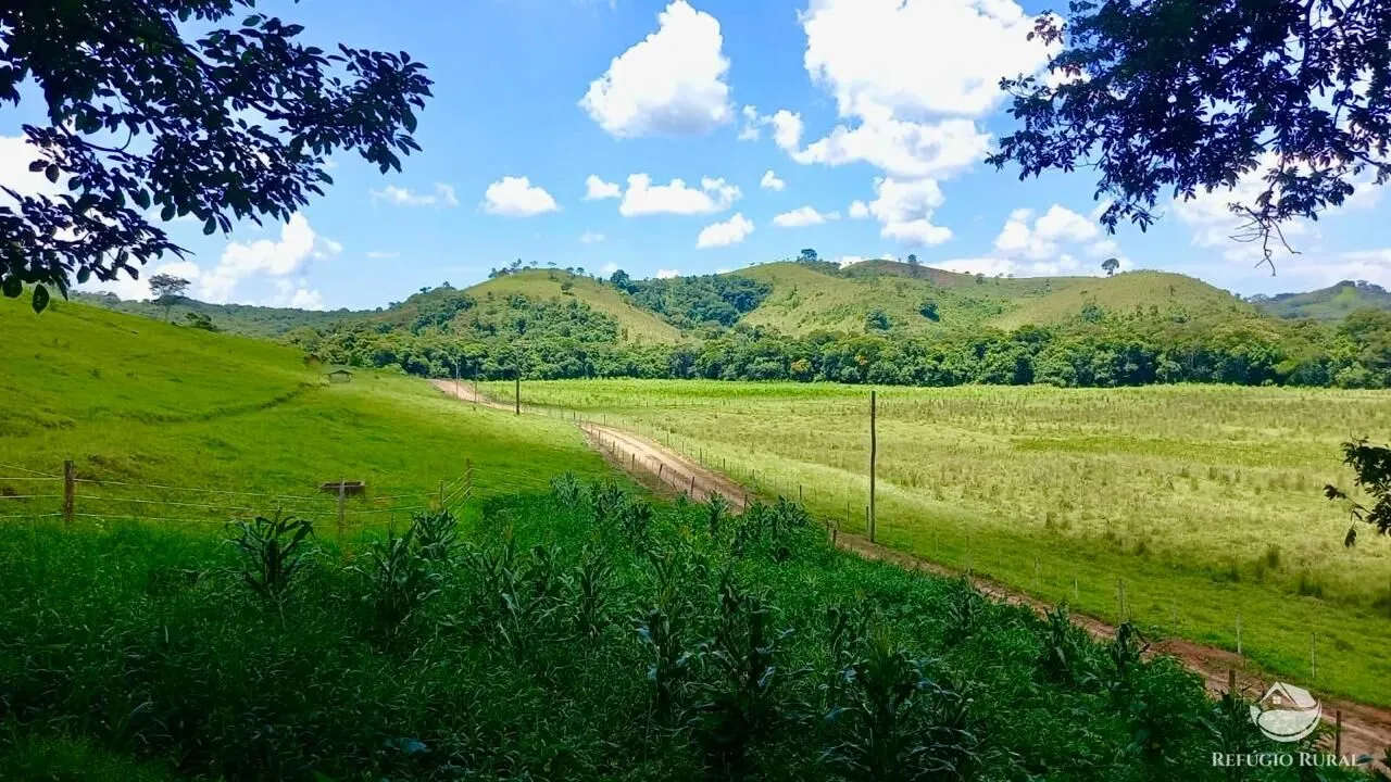 Fazenda à venda de 442 ha em Cunha, SP, Brasil