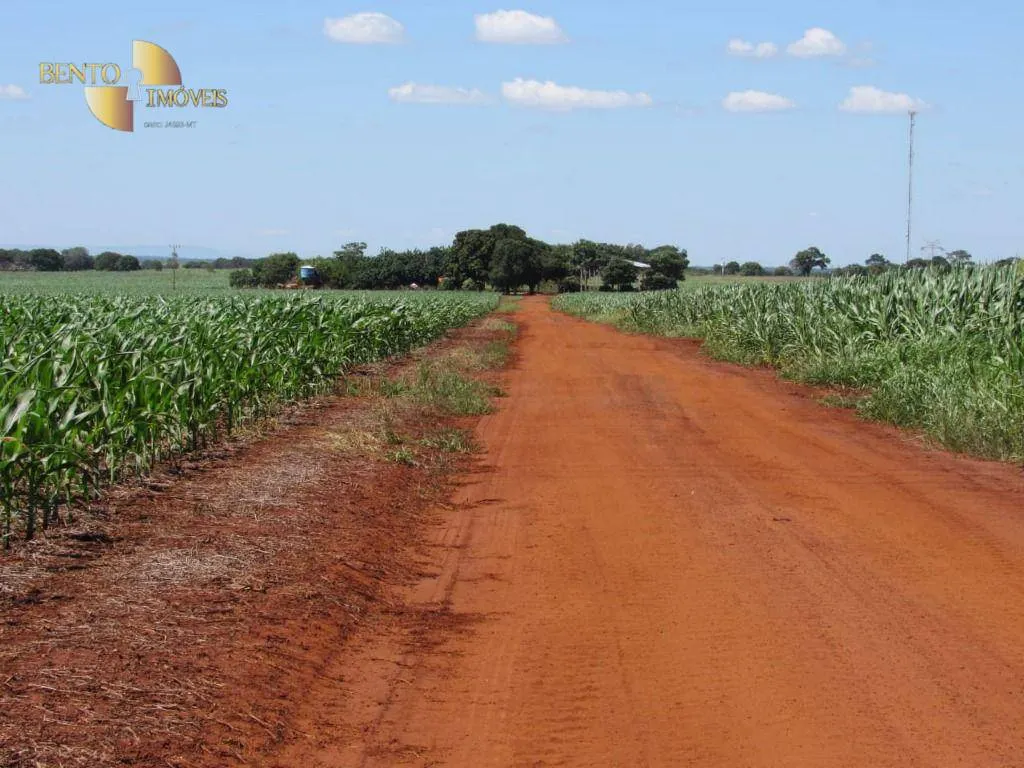 Fazenda à venda e para Arrendar de 305 ha em Jangada, MT, Brasil