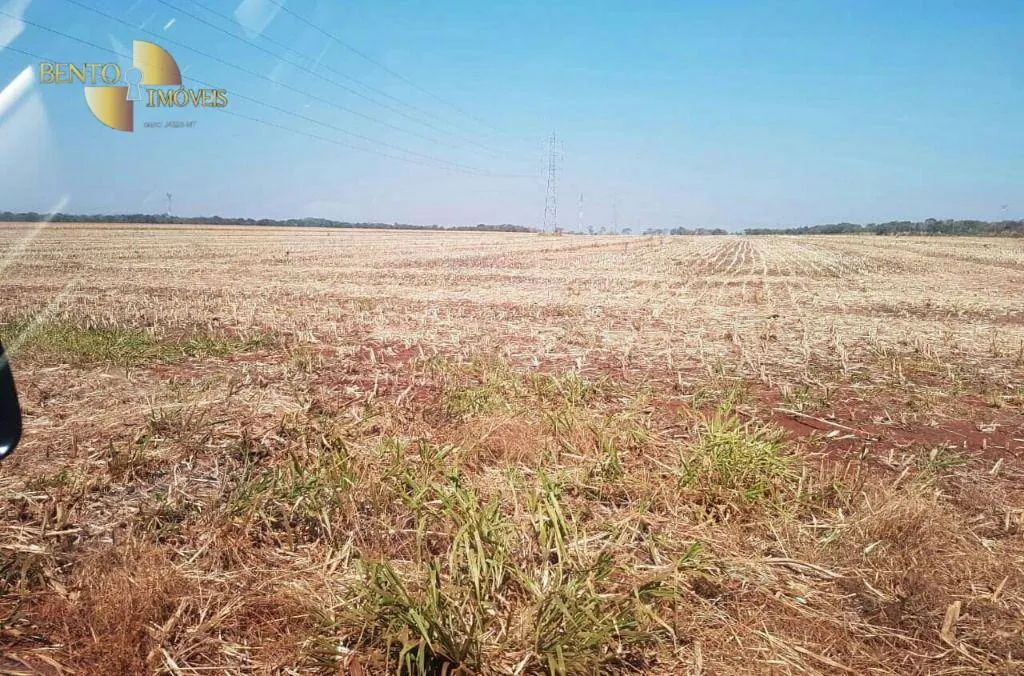 Fazenda à venda e para Arrendar de 305 ha em Jangada, MT, Brasil