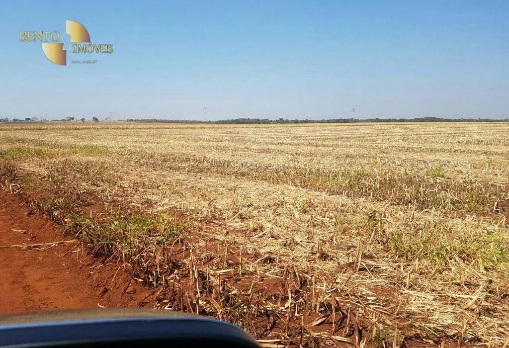Fazenda à venda e para Arrendar de 305 ha em Jangada, MT, Brasil