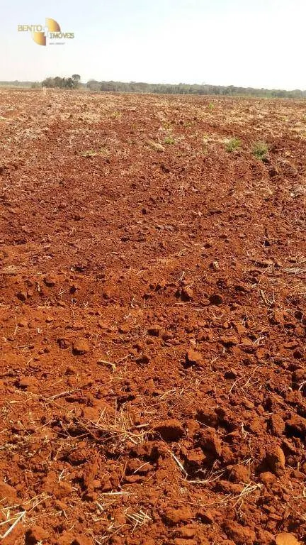 Fazenda à venda e para Arrendar de 305 ha em Jangada, MT, Brasil