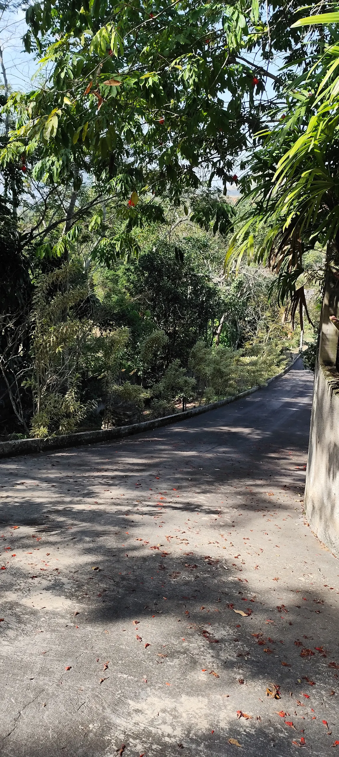 Chácara à venda de 1 ha em Maricá, RJ, Brasil