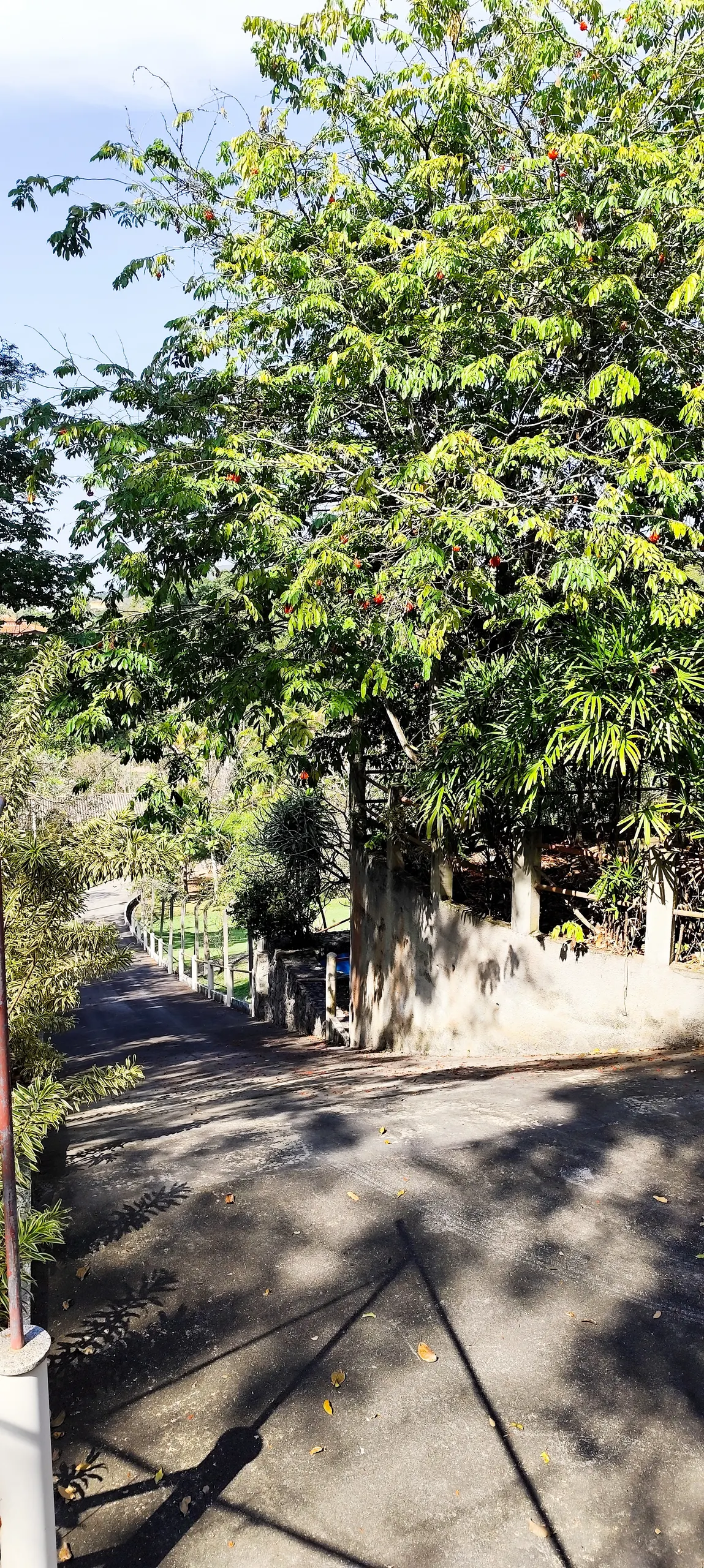 Chácara à venda de 1 ha em Maricá, RJ, Brasil