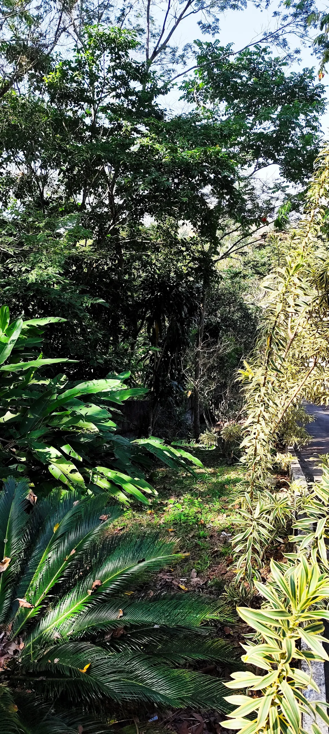 Chácara à venda de 1 ha em Maricá, RJ, Brasil