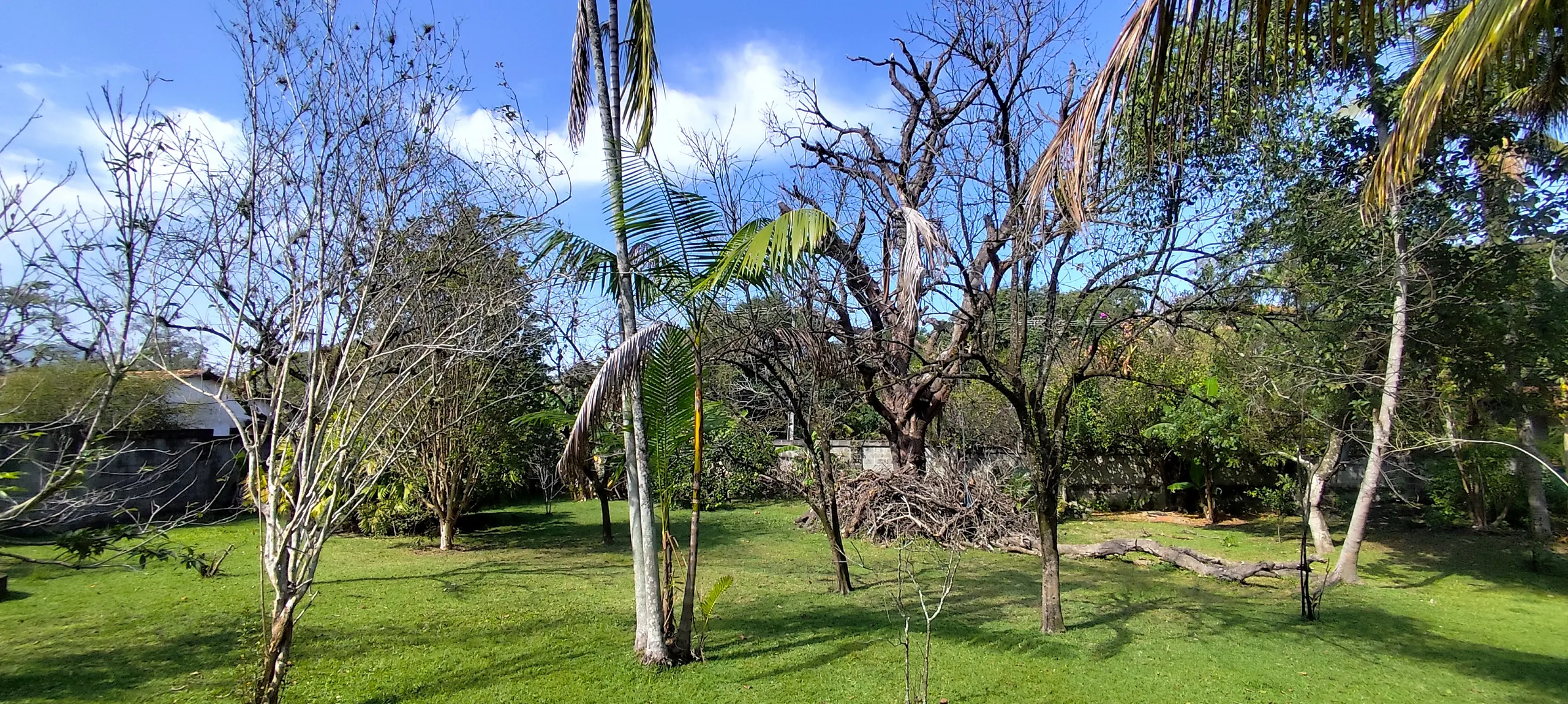 Chácara à venda de 1 ha em Maricá, RJ, Brasil