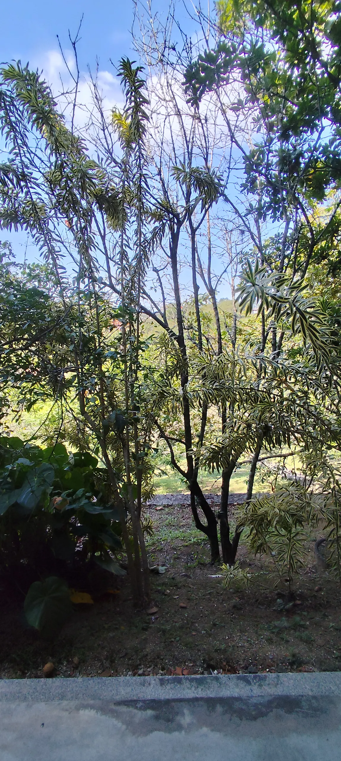 Chácara à venda de 1 ha em Maricá, RJ, Brasil