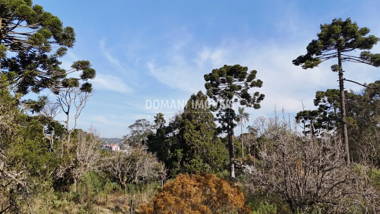 Plot for sale of 6 acres in Campos do Jordão, SP, Brazil
