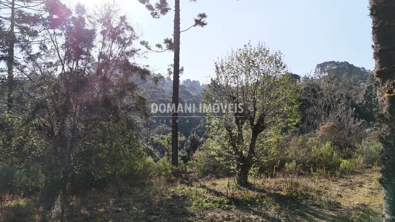 Plot for sale of 6 acres in Campos do Jordão, SP, Brazil