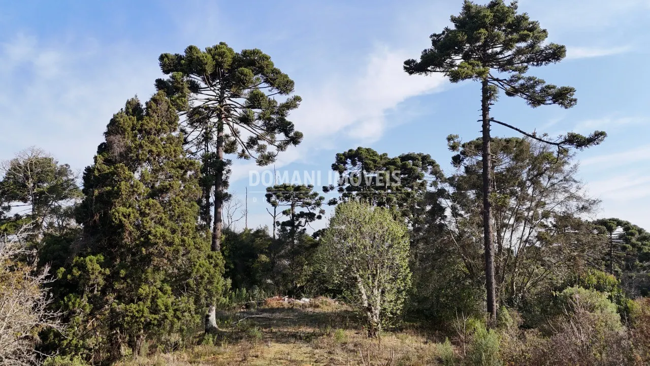 Plot for sale of 6 acres in Campos do Jordão, SP, Brazil
