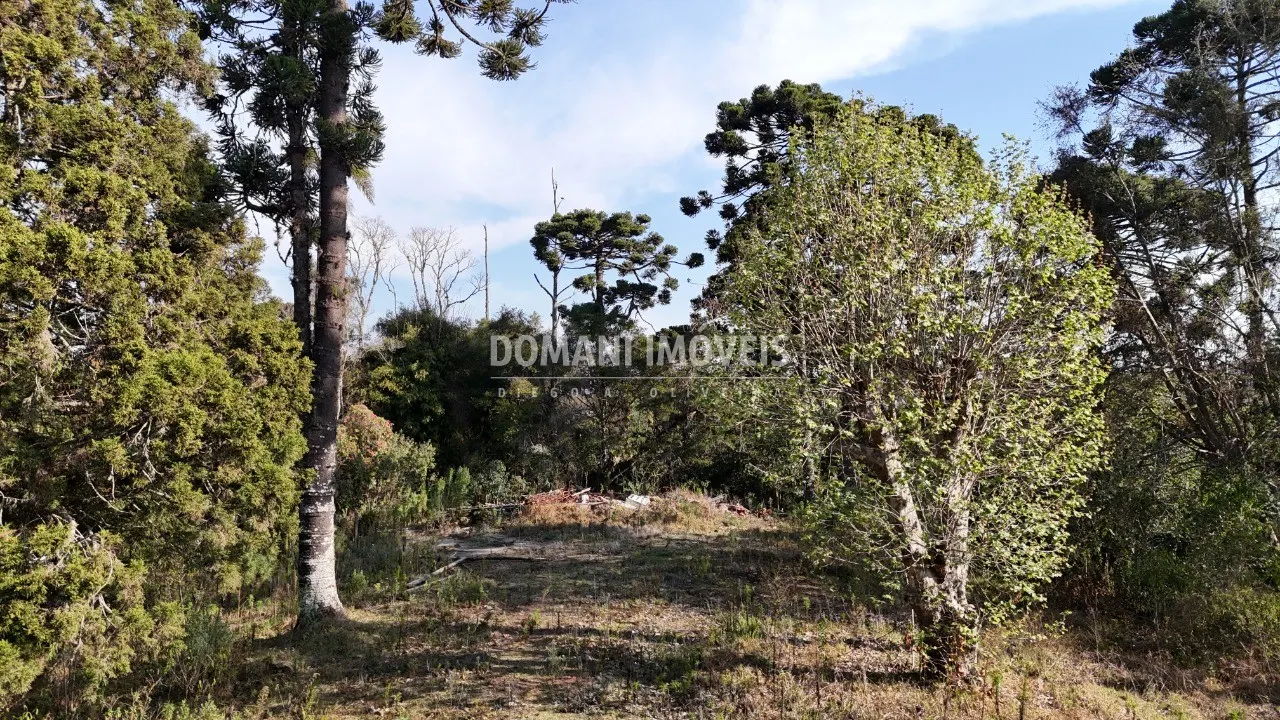 Plot for sale of 6 acres in Campos do Jordão, SP, Brazil