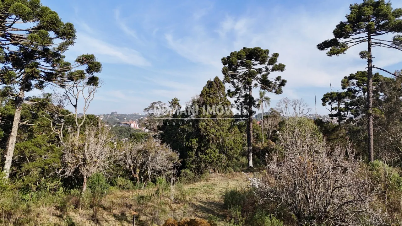 Plot for sale of 6 acres in Campos do Jordão, SP, Brazil