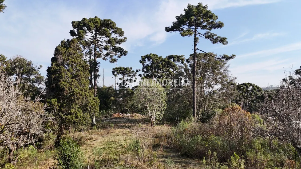 Plot for sale of 6 acres in Campos do Jordão, SP, Brazil