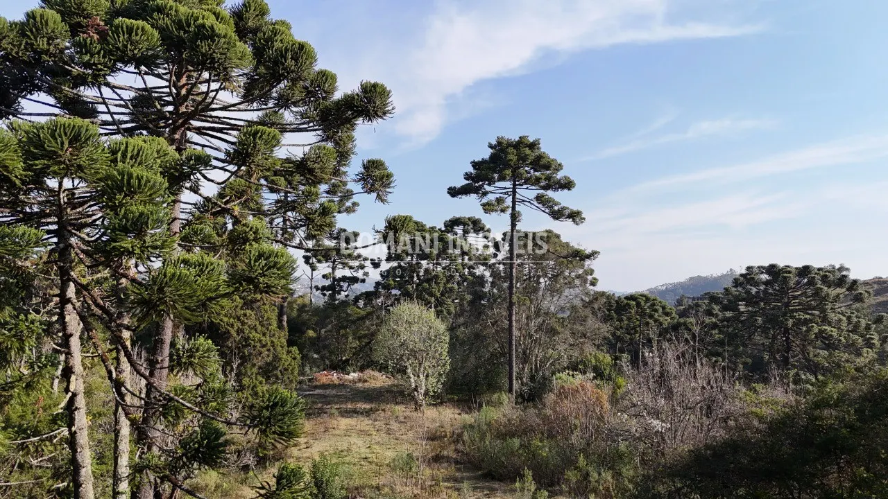 Plot for sale of 6 acres in Campos do Jordão, SP, Brazil