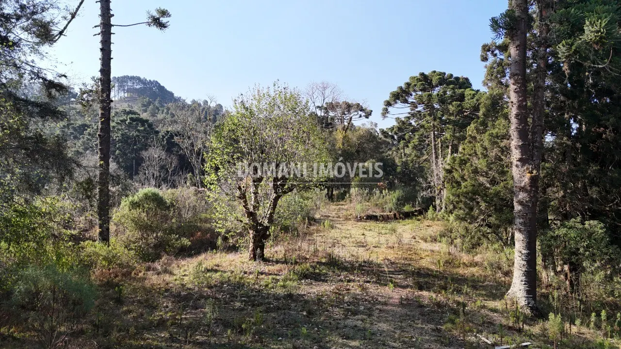 Plot for sale of 6 acres in Campos do Jordão, SP, Brazil