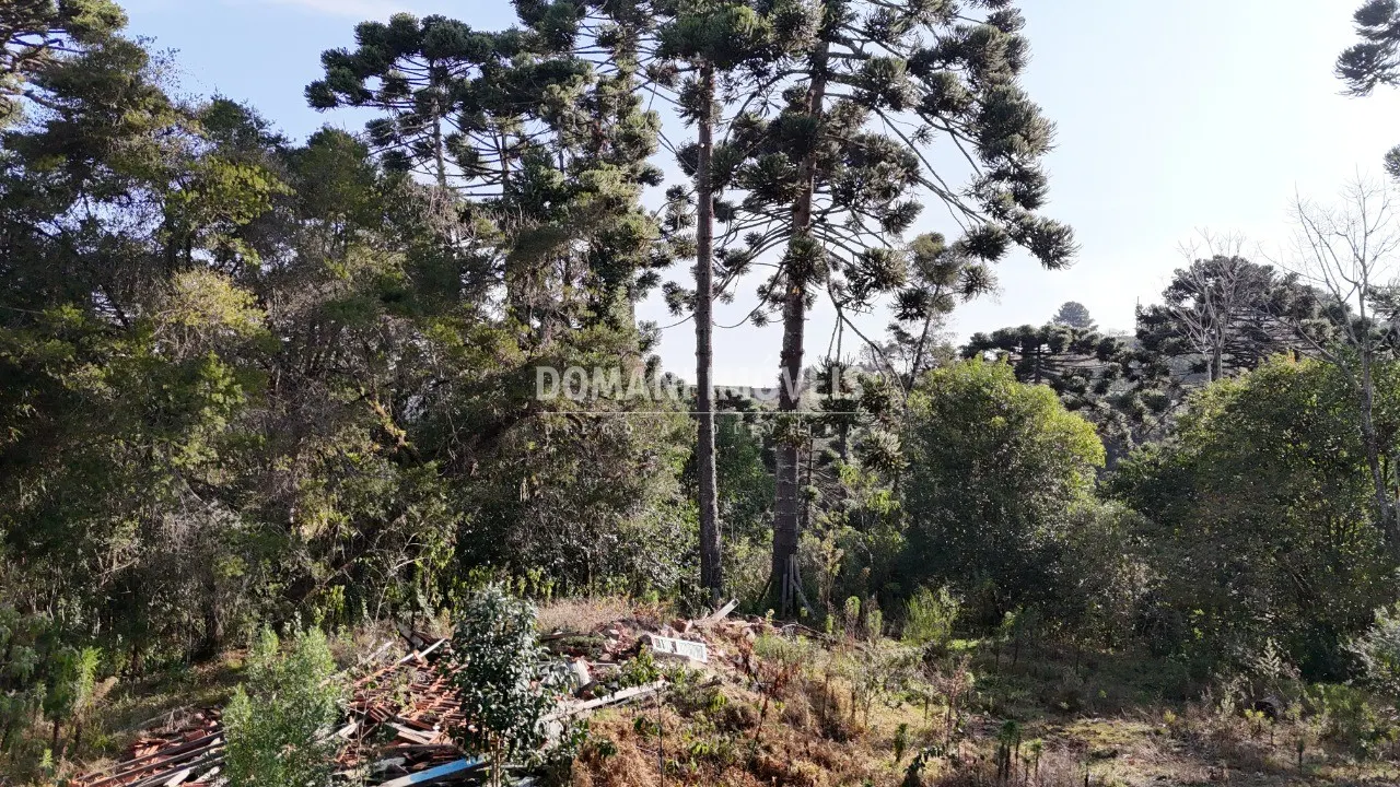 Plot for sale of 6 acres in Campos do Jordão, SP, Brazil