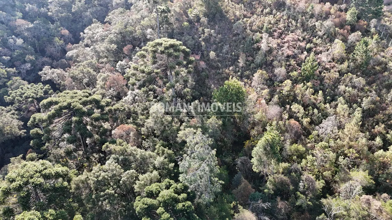 Plot for sale of 6 acres in Campos do Jordão, SP, Brazil