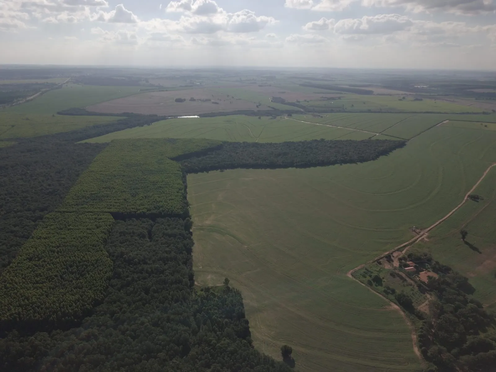 Fazenda à venda de 145 ha em Manduri, SP, Brasil