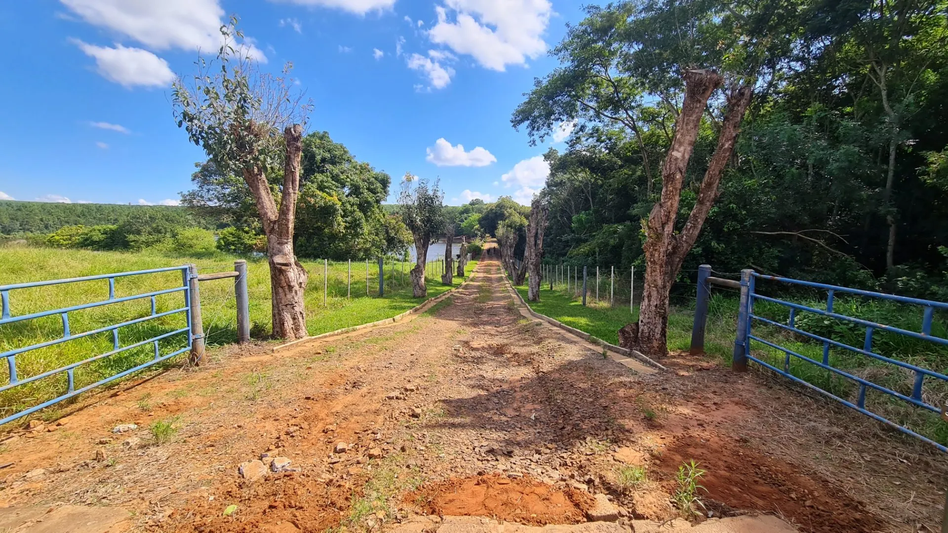 Fazenda à venda de 145 ha em Manduri, SP, Brasil