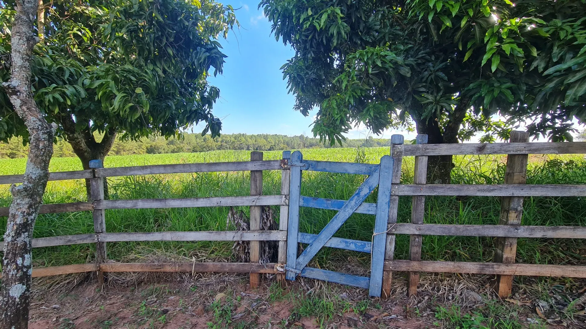 Fazenda à venda de 145 ha em Manduri, SP, Brasil