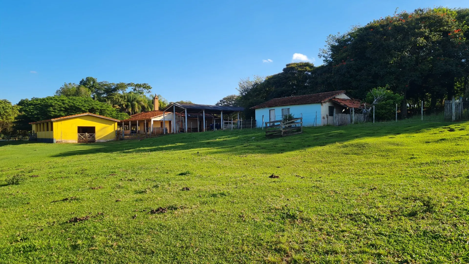 Fazenda à venda de 145 ha em Manduri, SP, Brasil