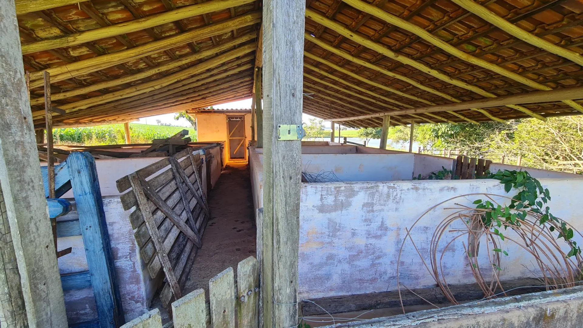 Fazenda à venda de 145 ha em Manduri, SP, Brasil