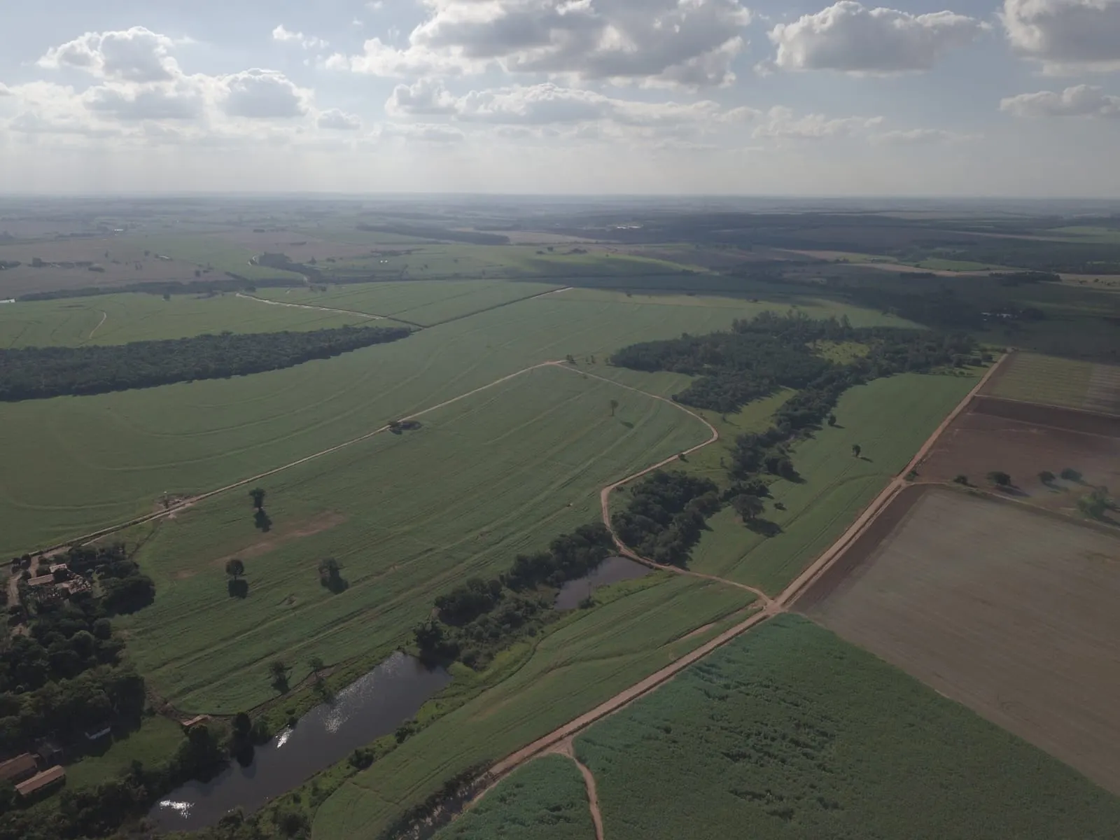 Fazenda à venda de 145 ha em Manduri, SP, Brasil