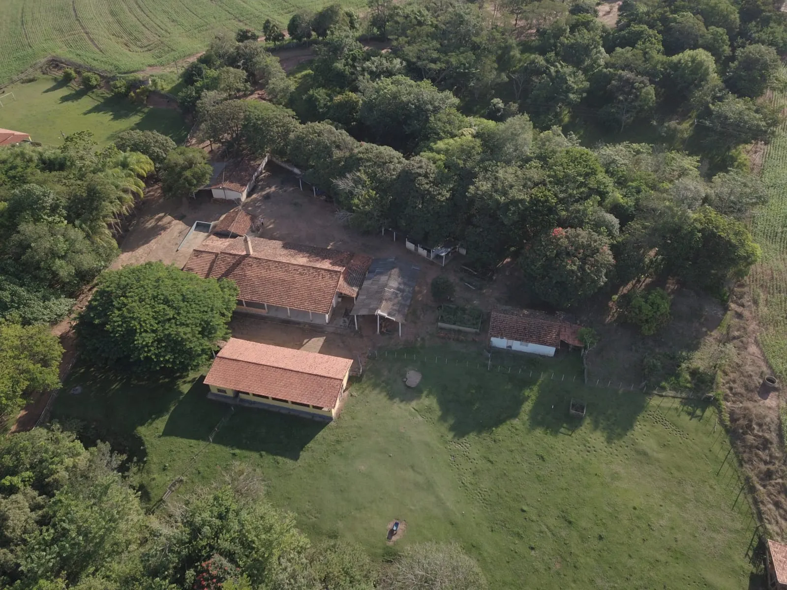 Fazenda à venda de 145 ha em Manduri, SP, Brasil