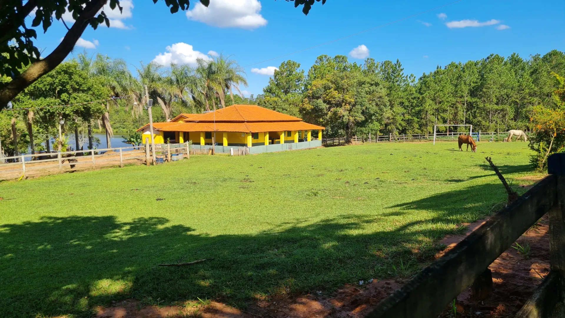 Fazenda à venda de 145 ha em Manduri, SP, Brasil