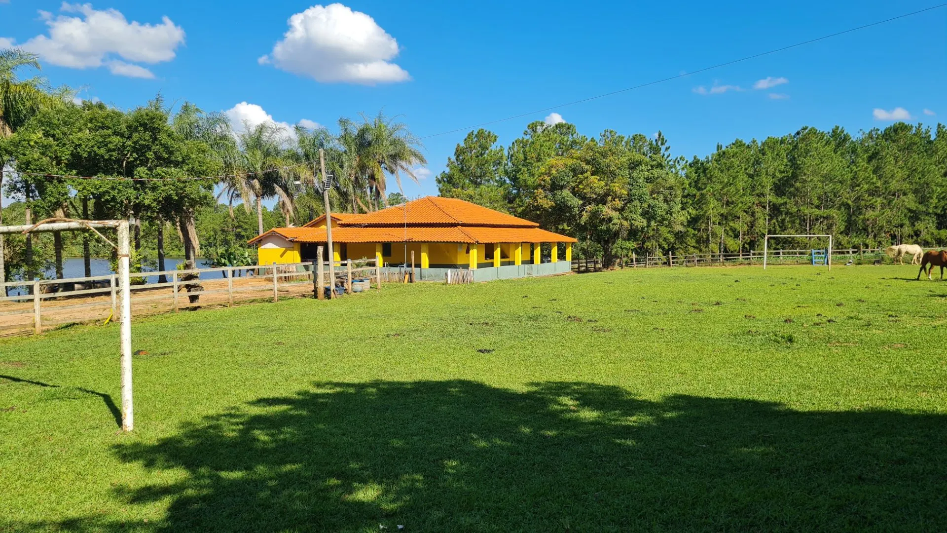 Fazenda à venda de 145 ha em Manduri, SP, Brasil