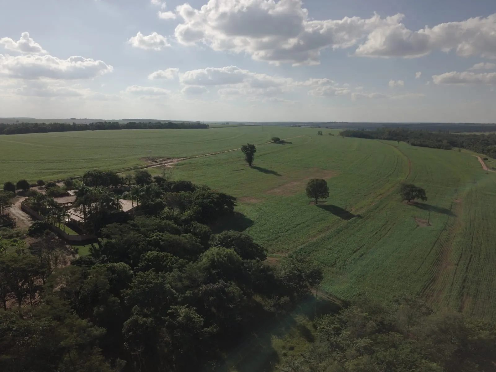Fazenda à venda de 145 ha em Manduri, SP, Brasil