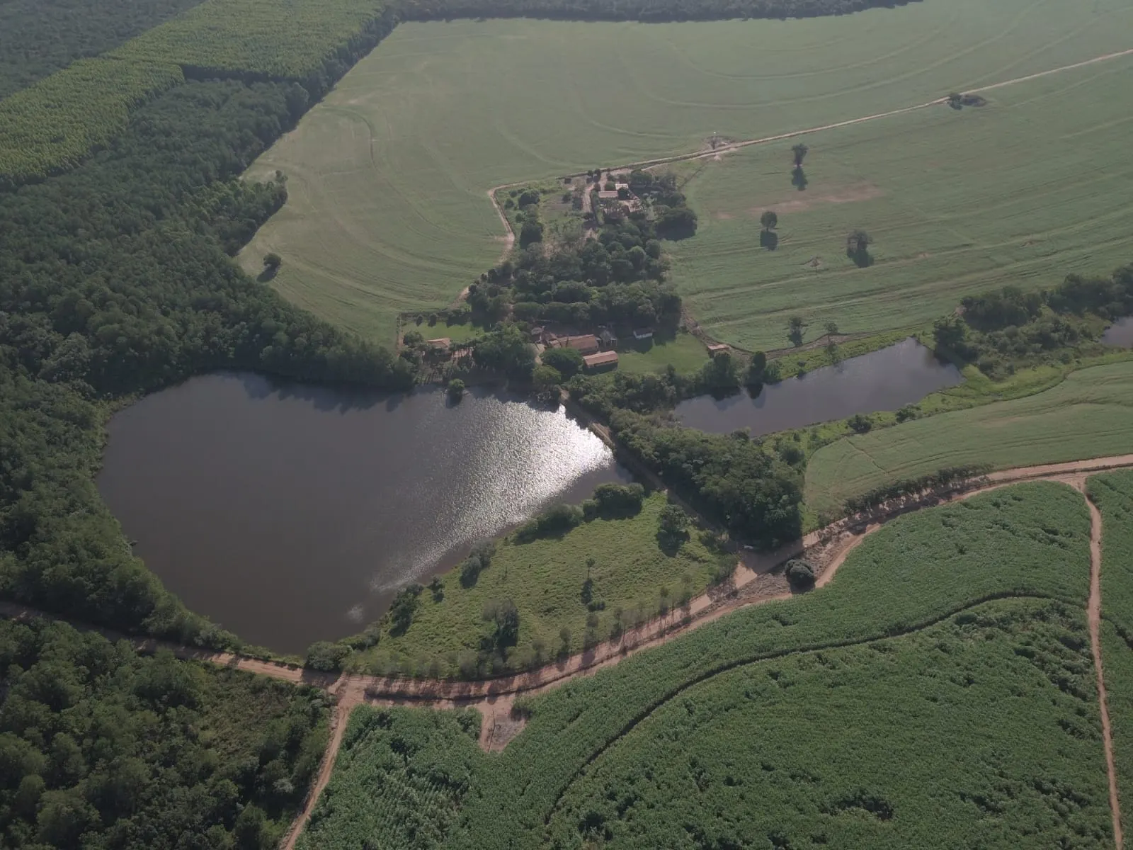 Fazenda à venda de 145 ha em Manduri, SP, Brasil