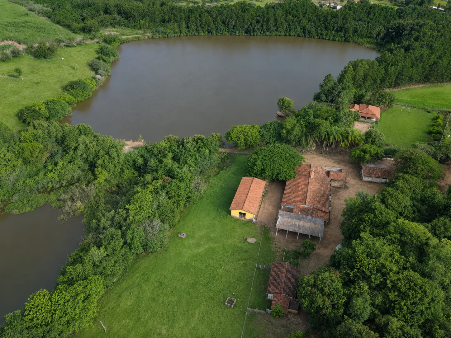 Fazenda à venda de 145 ha em Manduri, SP, Brasil