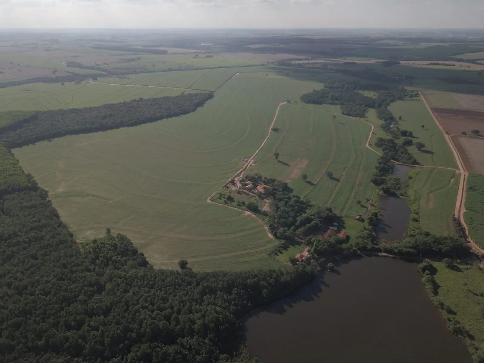 Fazenda à venda de 145 ha em Manduri, SP, Brasil