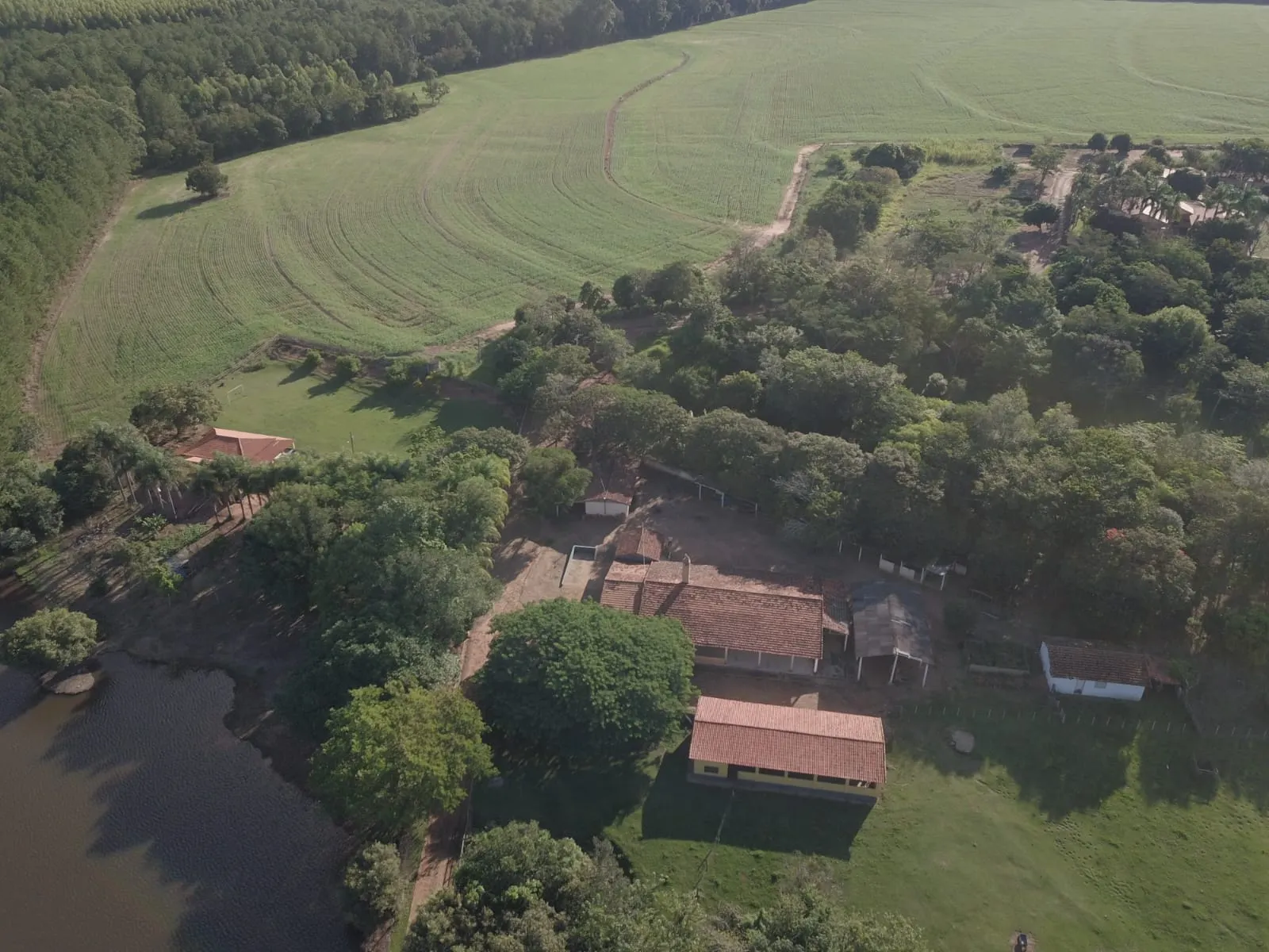 Fazenda à venda de 145 ha em Manduri, SP, Brasil